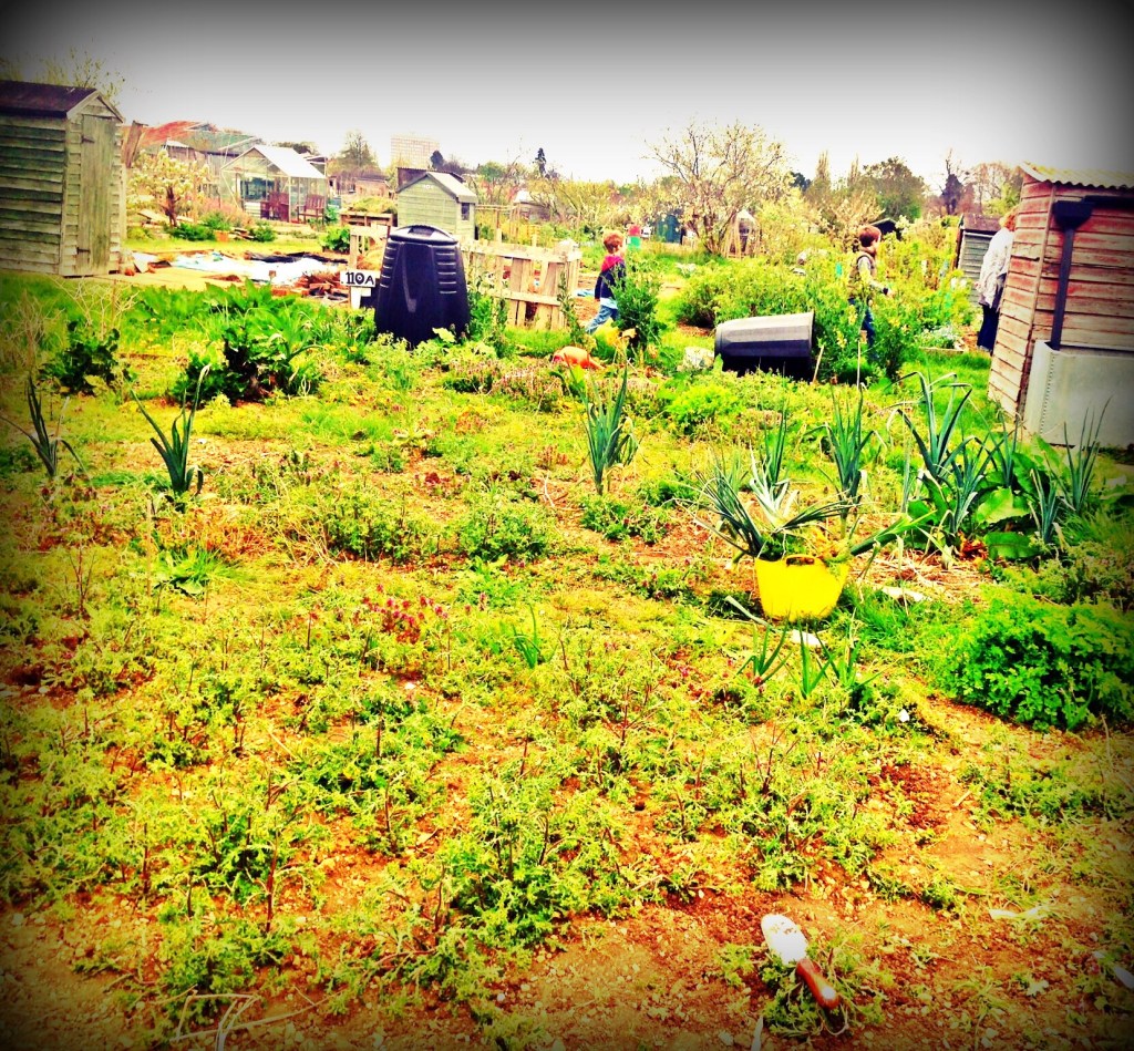 Wake up : fall&nbsp;asleep