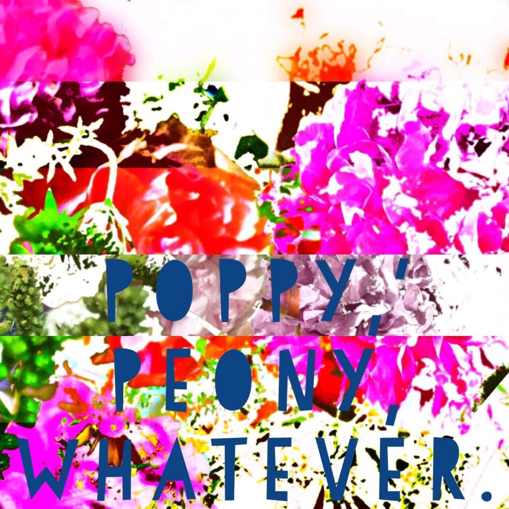 Return ticket to Nottingham&nbsp;please